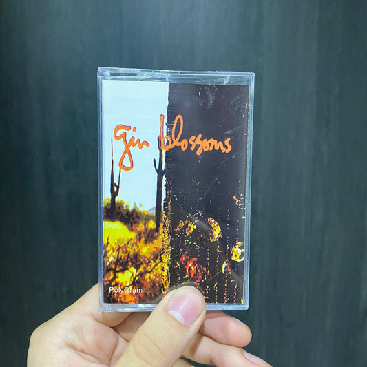 Gin Blossoms - New Miserable Experience.