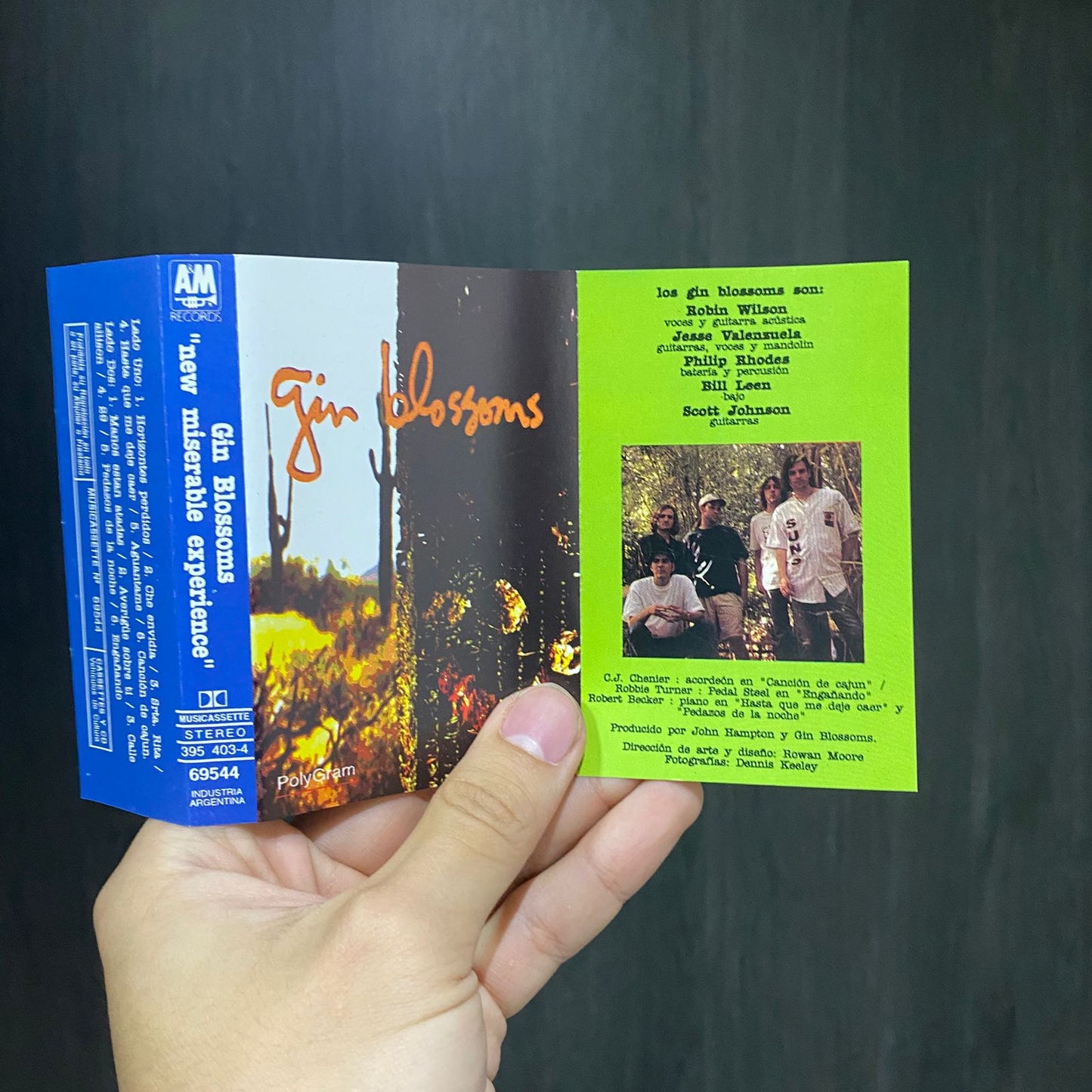 Gin Blossoms - New Miserable Experience.