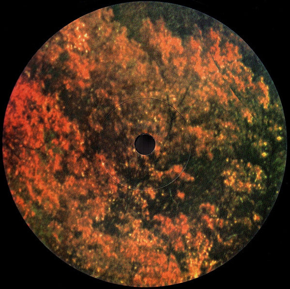 TAME IMPALA - INNERSPEAKER 2LPs