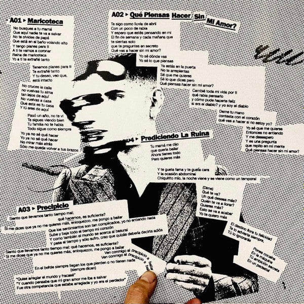 ALEX ANWANDTER - EL DIABLO EN EL CUERPO 2LPs.