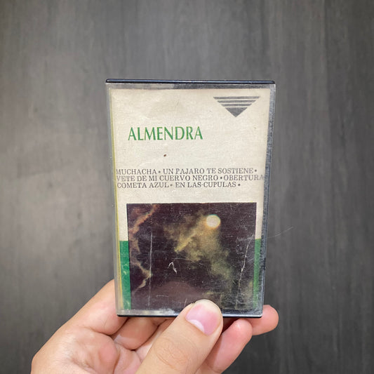 Un pájaro te sostiene - Almendra.