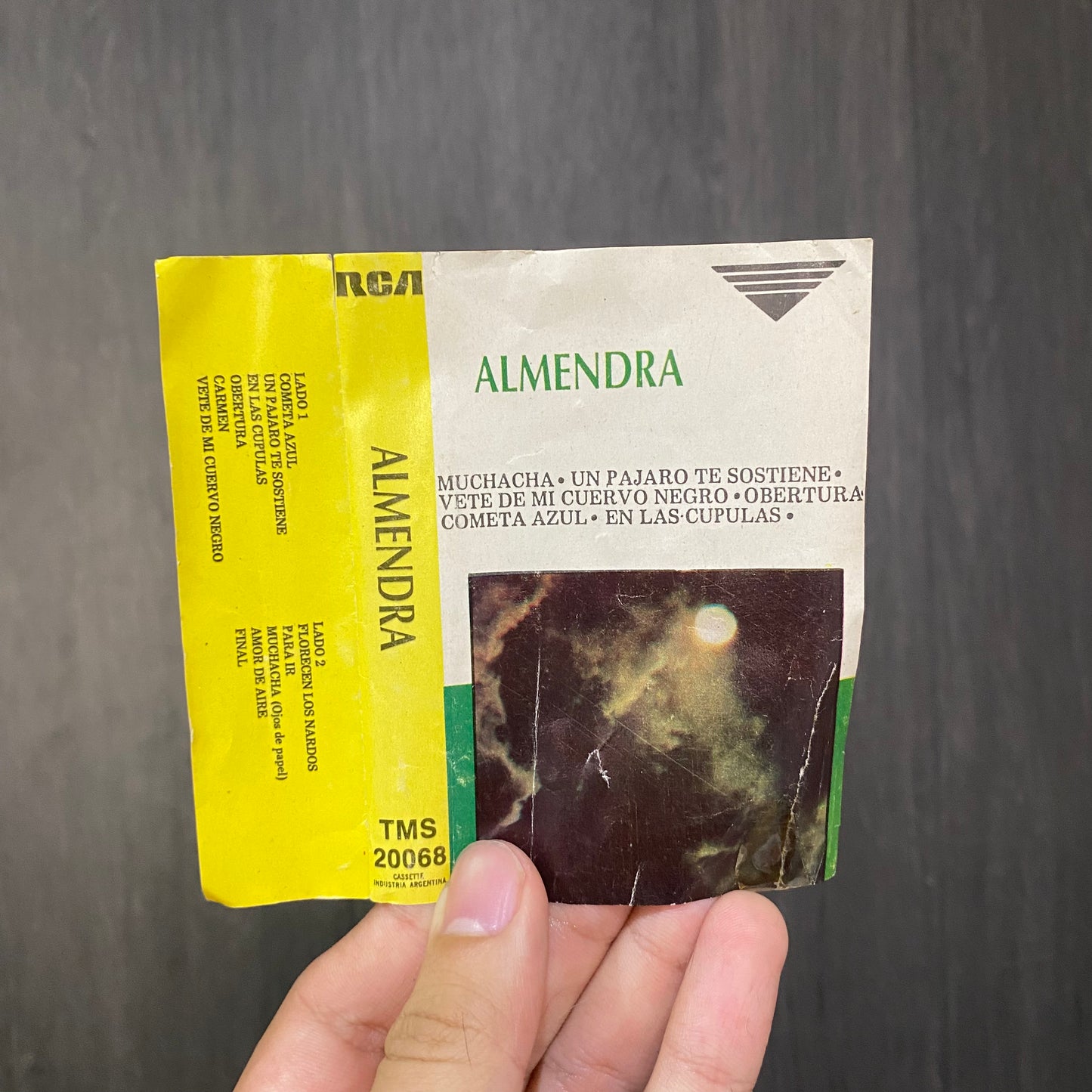 Un pájaro te sostiene - Almendra.
