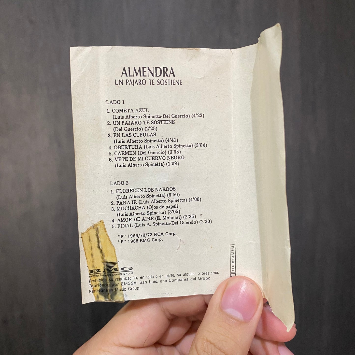 Un pájaro te sostiene - Almendra.
