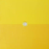 GUSTAVO CERATI - AMOR AMARILLO 2LP
