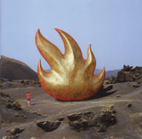 AUDIOSLAVE 2LPs