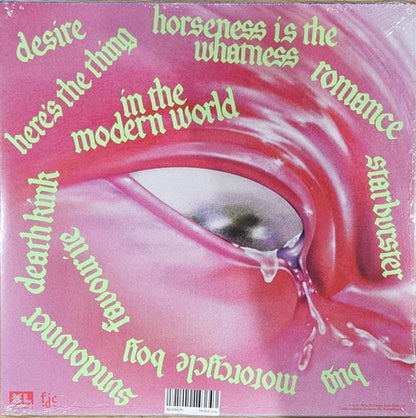 FONTAINES D.C - ROMANCE LP VINILO