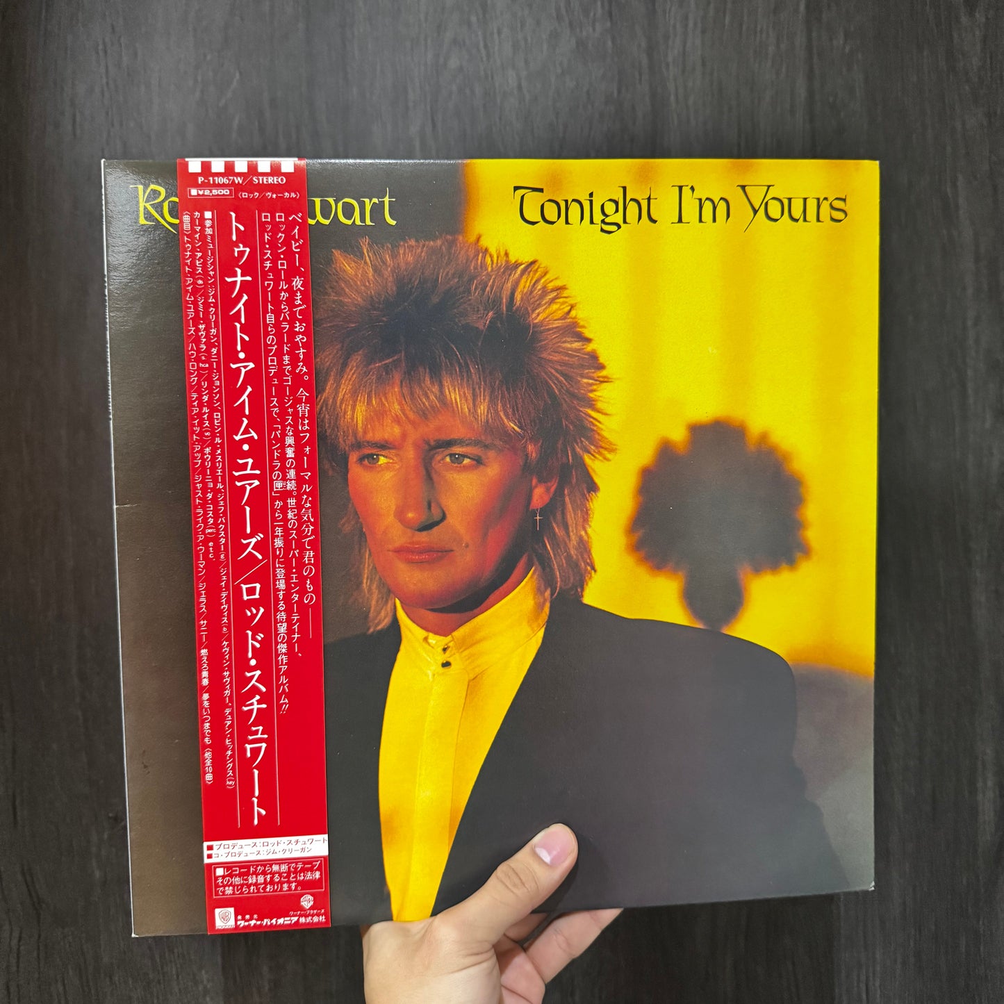 ROD STEWART - TONIGHT IM YOURS LP EDICION JAPONESA