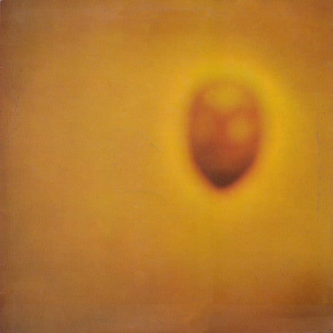 INVISIBLE - DURAZNO SANGRANDO LP VINILO