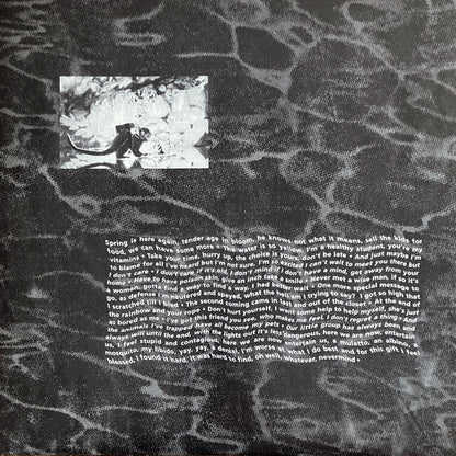 NIRVANA - NEVERMIND LP