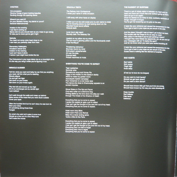 THE LAST SHADOW PUPPETS - EVERYTHING YOU´VE COME TO EXPECT LP VINILO