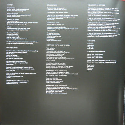 THE LAST SHADOW PUPPETS - EVERYTHING YOU´VE COME TO EXPECT LP VINILO