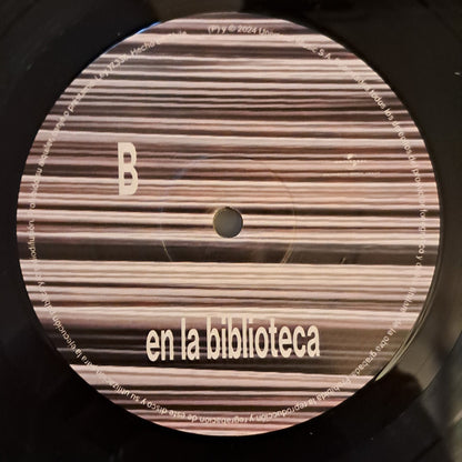 ELECTRODOMESTICOS - EN LA BIBLIOTECA (GRANDES EXITOS) LP VINILO