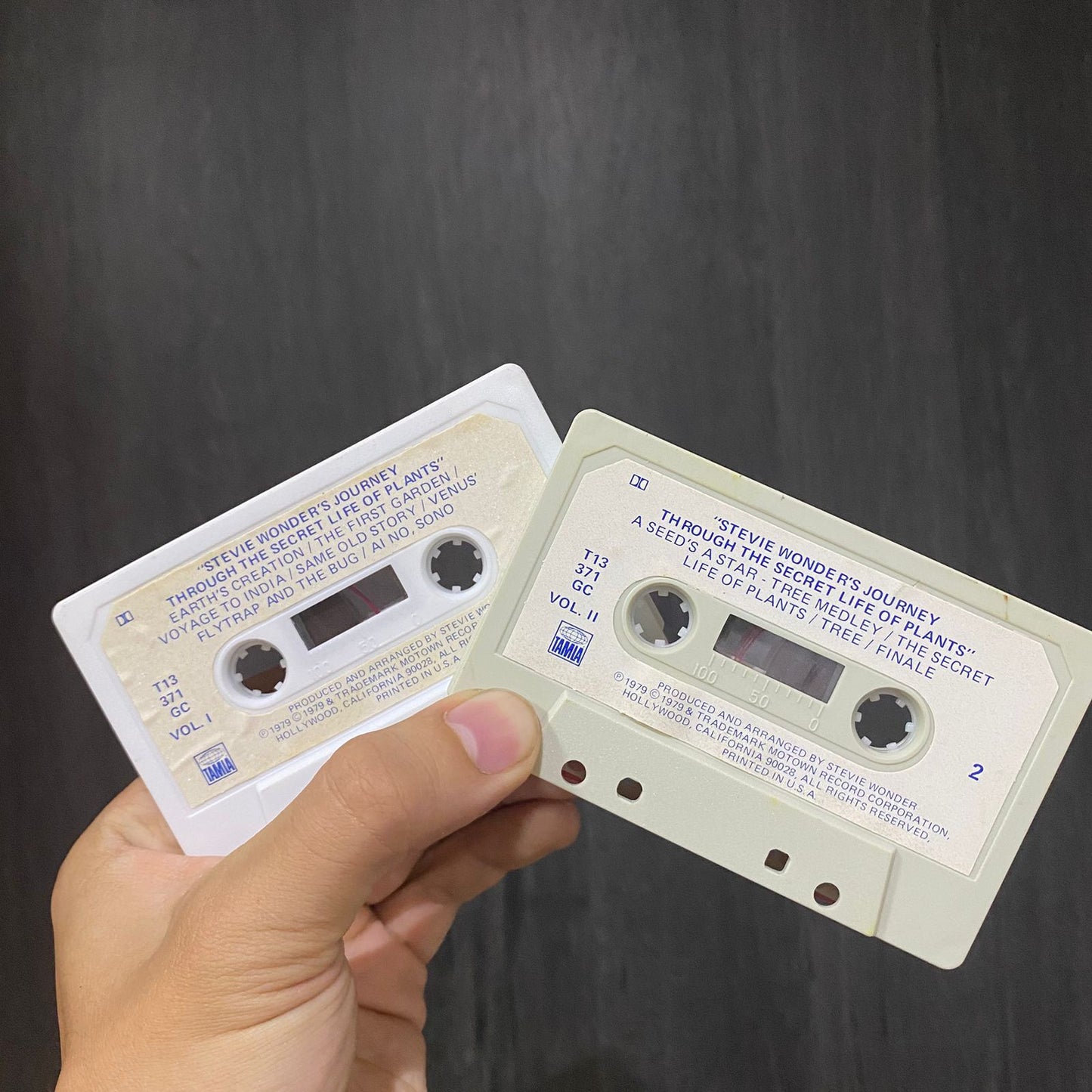 Stevie Wonder's Journey Through The Secret Life Of Plants - Cassette doble