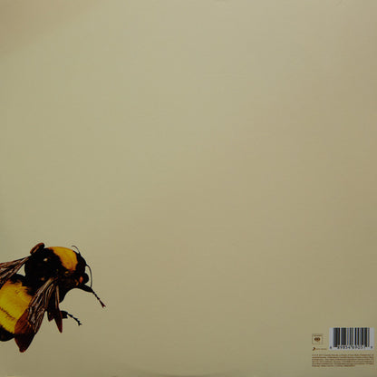 TYLER, THE CREATOR - FLOWER BOY 2LPs VINILO