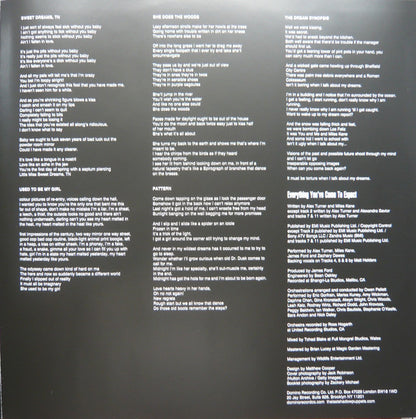THE LAST SHADOW PUPPETS - EVERYTHING YOU´VE COME TO EXPECT LP VINILO