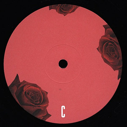 LANA DEL REY - BORN TO DIE 2LPs VINILO
