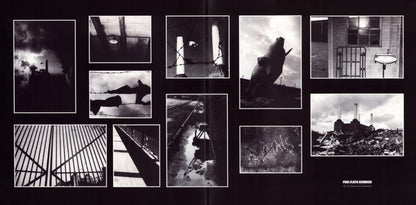 PINK FLOYD - ANIMALS (2018 REMIX) LP