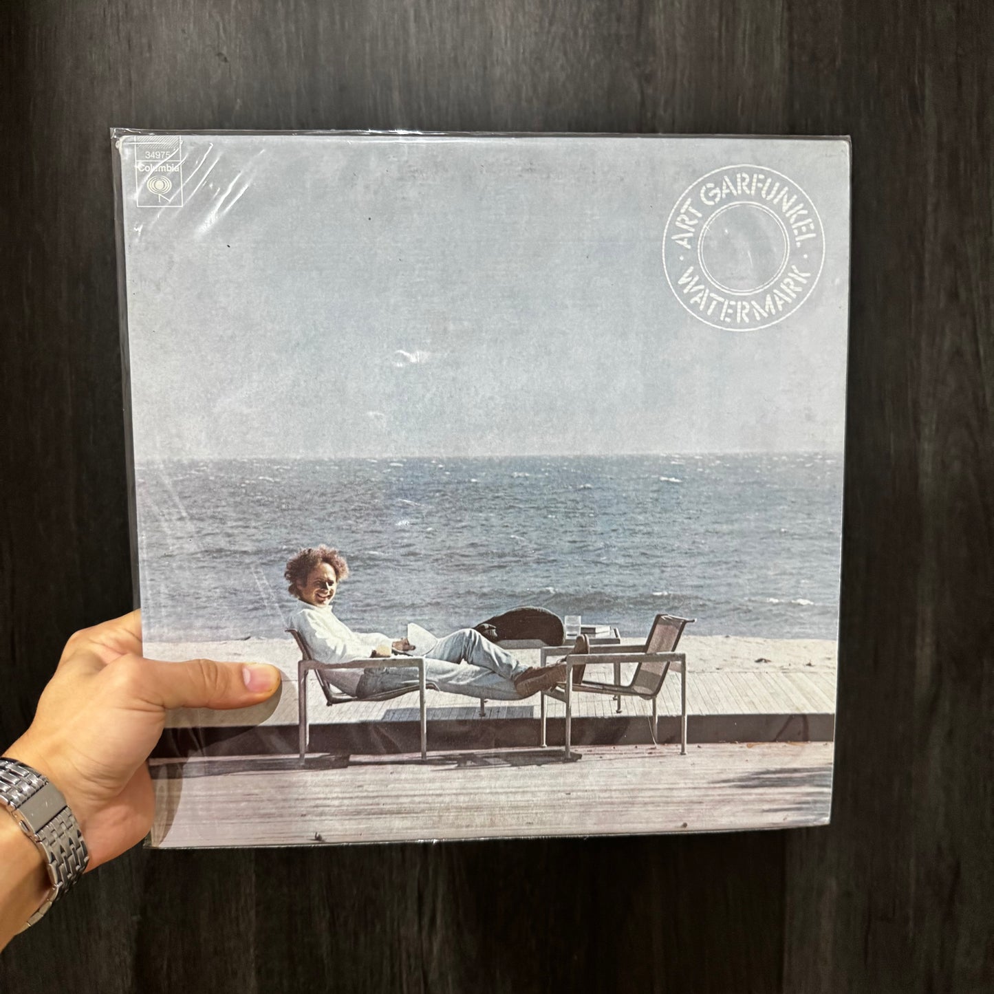 ART GARFUNKEL - WATERMARK LP DE EPOCA