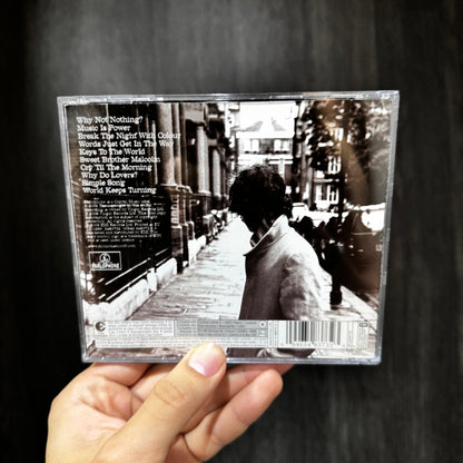 RICHARD ASHCROFT - KEYS TO THE WORLD CD USADO