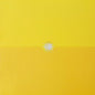 GUSTAVO CERATI - AMOR AMARILLO 2LP