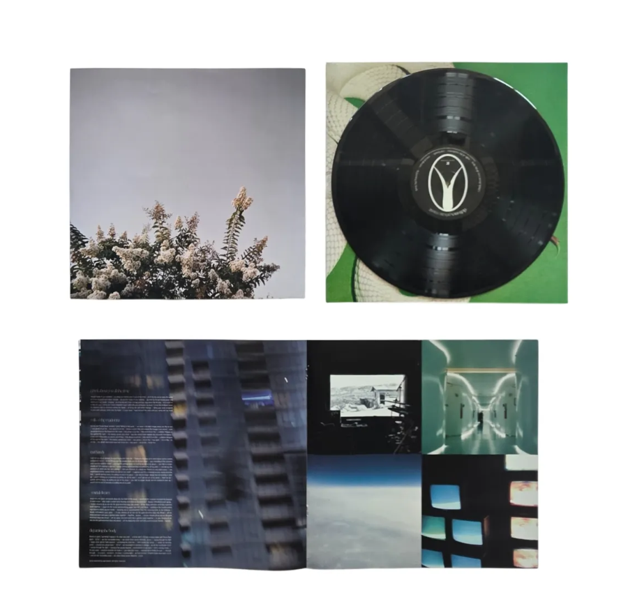 DEFTONES - PRIVATE MUSIC LP VINILO